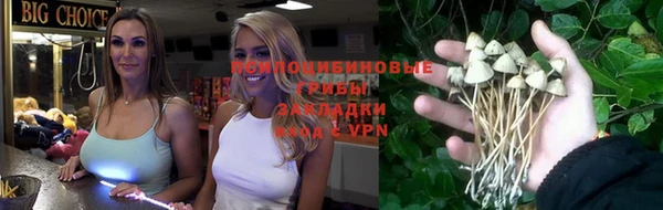 скорость mdpv Белокуриха